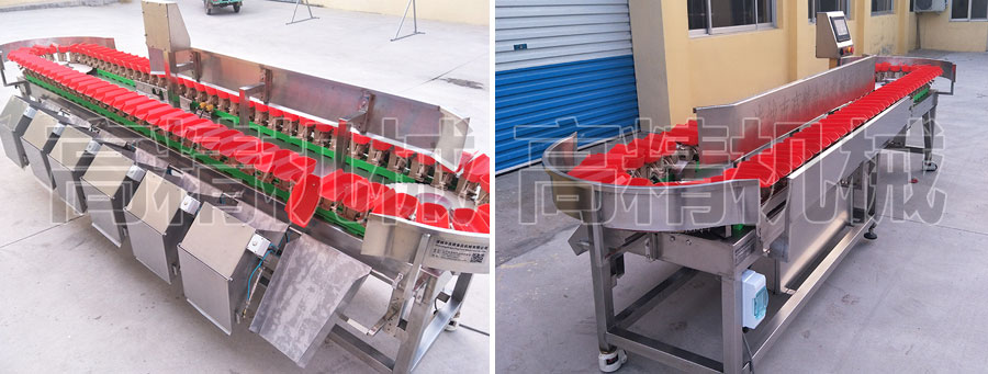 諸城市高精食品機械有限公司