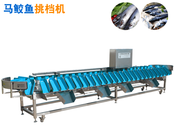 馬鮫魚挑檔機,馬鮫魚分選機,馬鮫魚挑擋機
