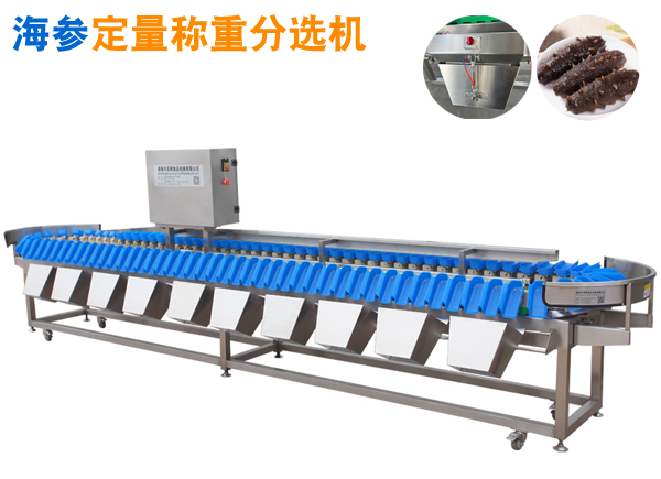 海參分頭機挑頭設備 稱重分選機 防扎手
