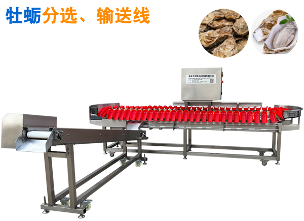 5+1牡蠣分選、輸送流水線