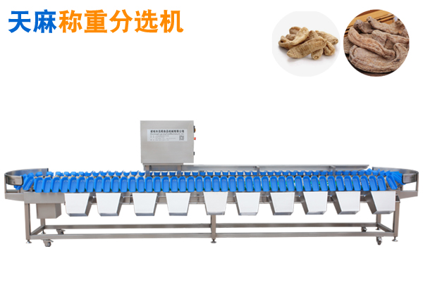 天麻等中藥分選機(jī)水果重量分揀機(jī)土豆挑個機(jī)