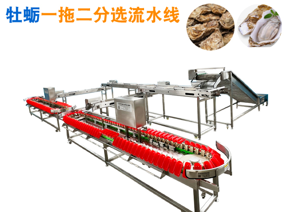 牡蠣一拖二分選、輸送流水線