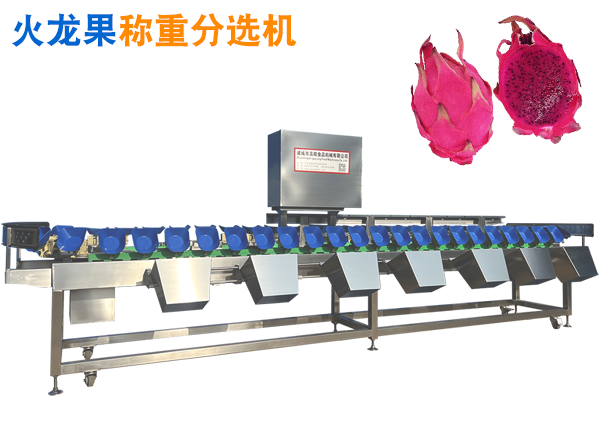 火龍果重量分選機(jī) 水果自動(dòng)選果機(jī) 托盤(pán)式水果分選機(jī)