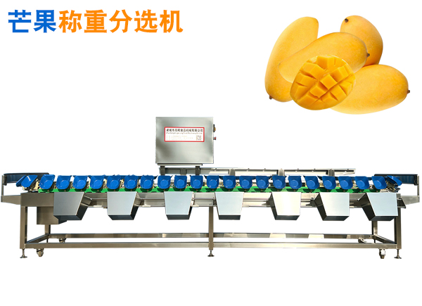 芒果稱重分選機(jī) 芒果重量分選機(jī) 芒果果品選果機(jī) 水果分級(jí)機(jī)