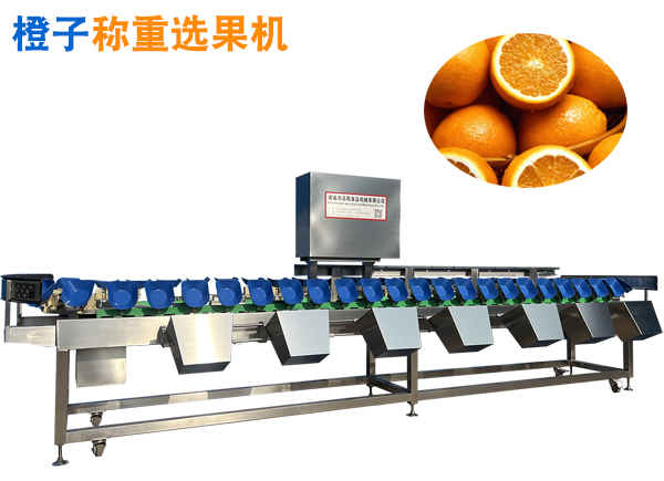 橙子稱重分選機臍橙重量分選機水果選果機