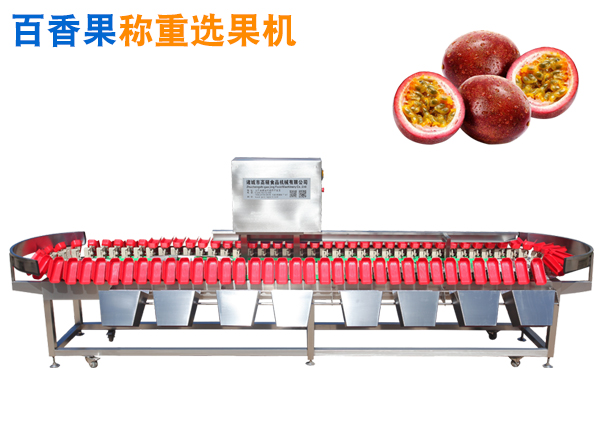 百香果選果機(jī) 精品水果選果機(jī) 百香果分選機(jī)