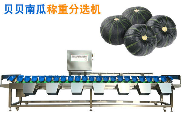 貝貝南瓜稱重分選機(jī) 貝貝南瓜選果機(jī) 貝貝南瓜重量分揀機(jī)分級(jí)機(jī)