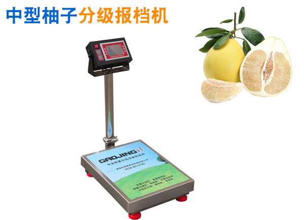 柚子分級報檔機 水果分級機  中大型水果分選機 中大型水果經濟型分揀設備