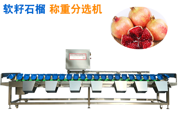 軟籽石榴稱重分選機(jī) 石榴分揀機(jī) 大石榴分選機(jī) 突尼斯軟籽石榴選果機(jī)