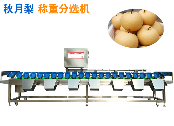 秋月梨稱重分選機(jī) 碭山梨重量分選機(jī) 萊陽(yáng)梨分選機(jī) 選果機(jī)